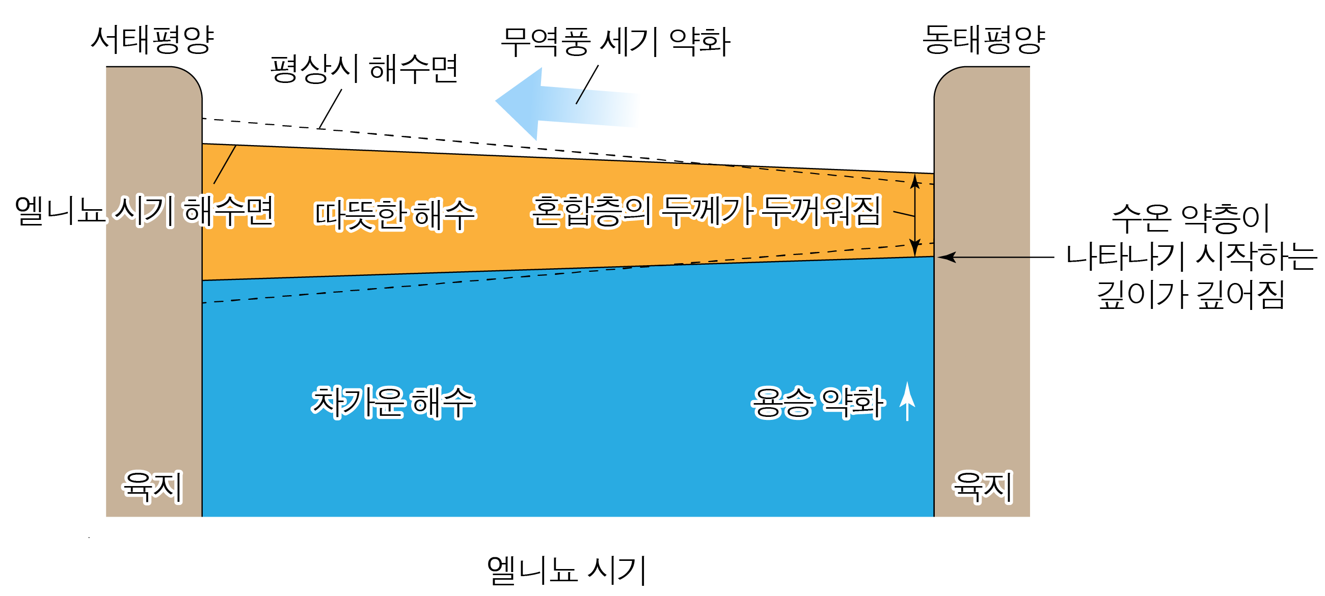 엘니뇨 시기의 태평양 해수면과 수온 구조 변화 단면도