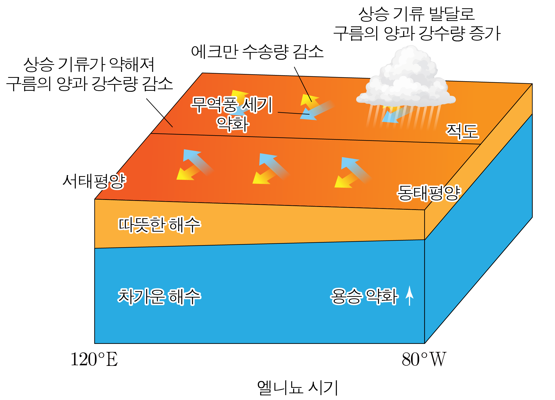 엘니뇨 시기의 태평양 해수면과 무역풍·용승·강수 변화 모식도