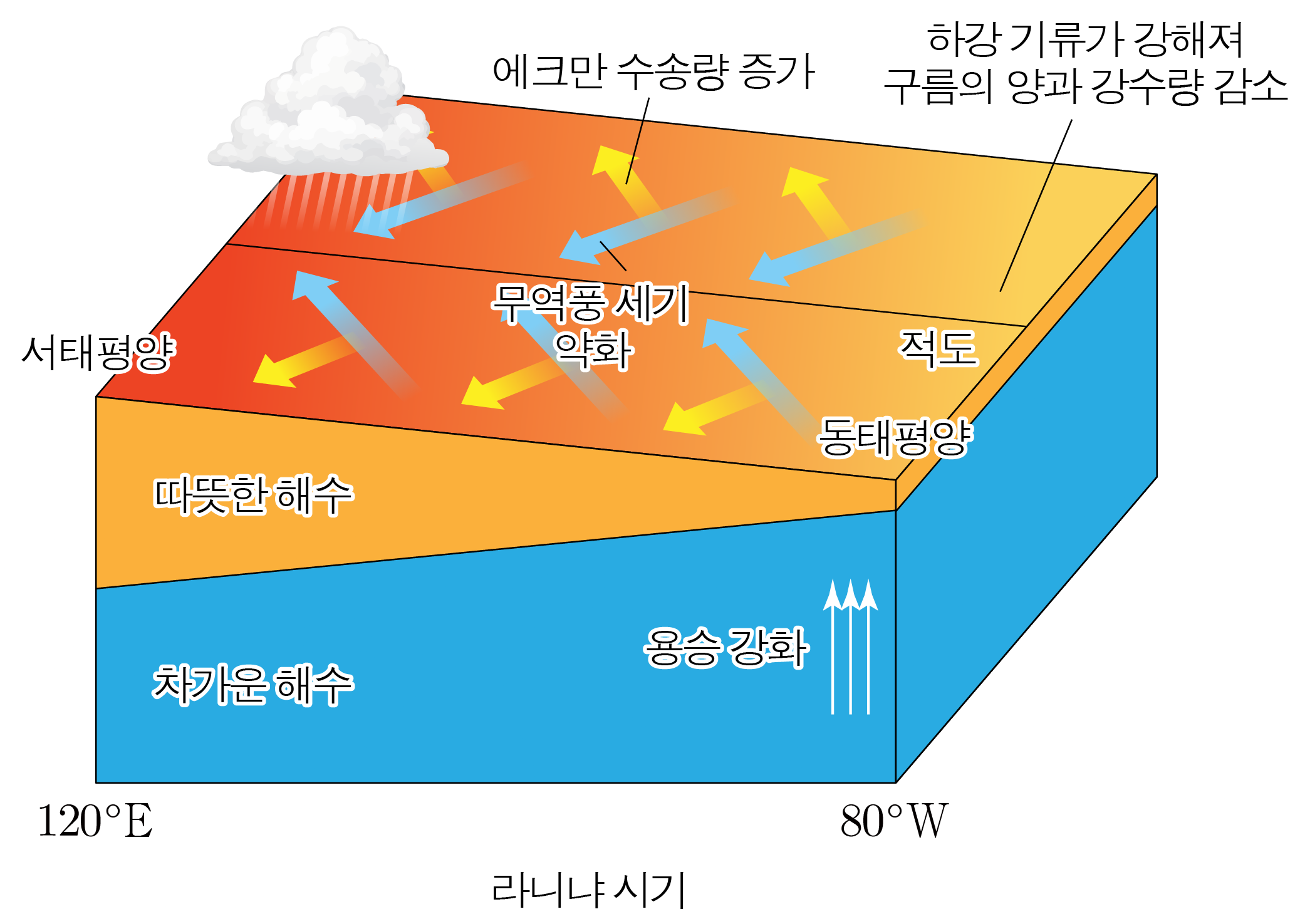 엘니뇨 시기 적도 태평양의 해수면 온도와 대기 순환 모식도