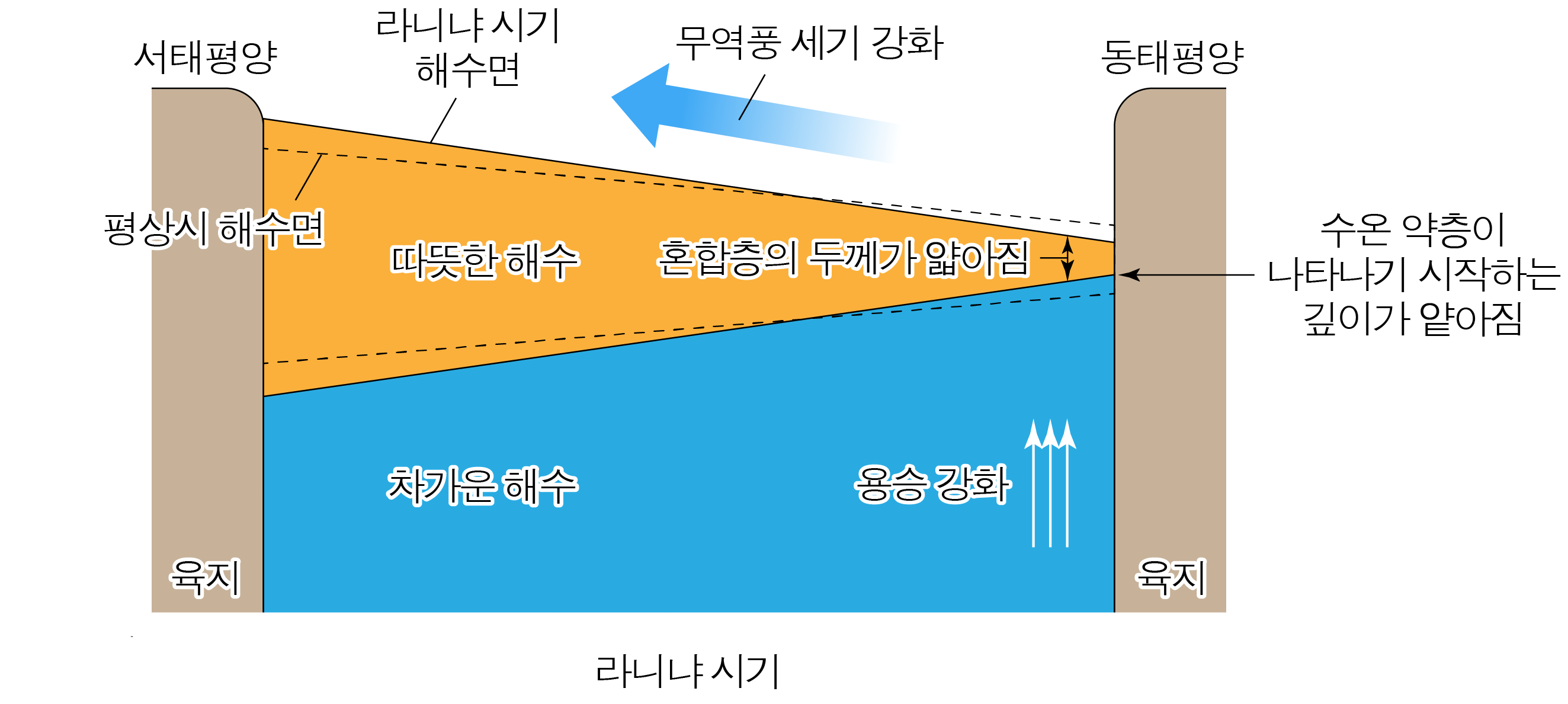 라니냐 시기 태평양의 해수면과 수온 약층 변화를 나타낸 단면도