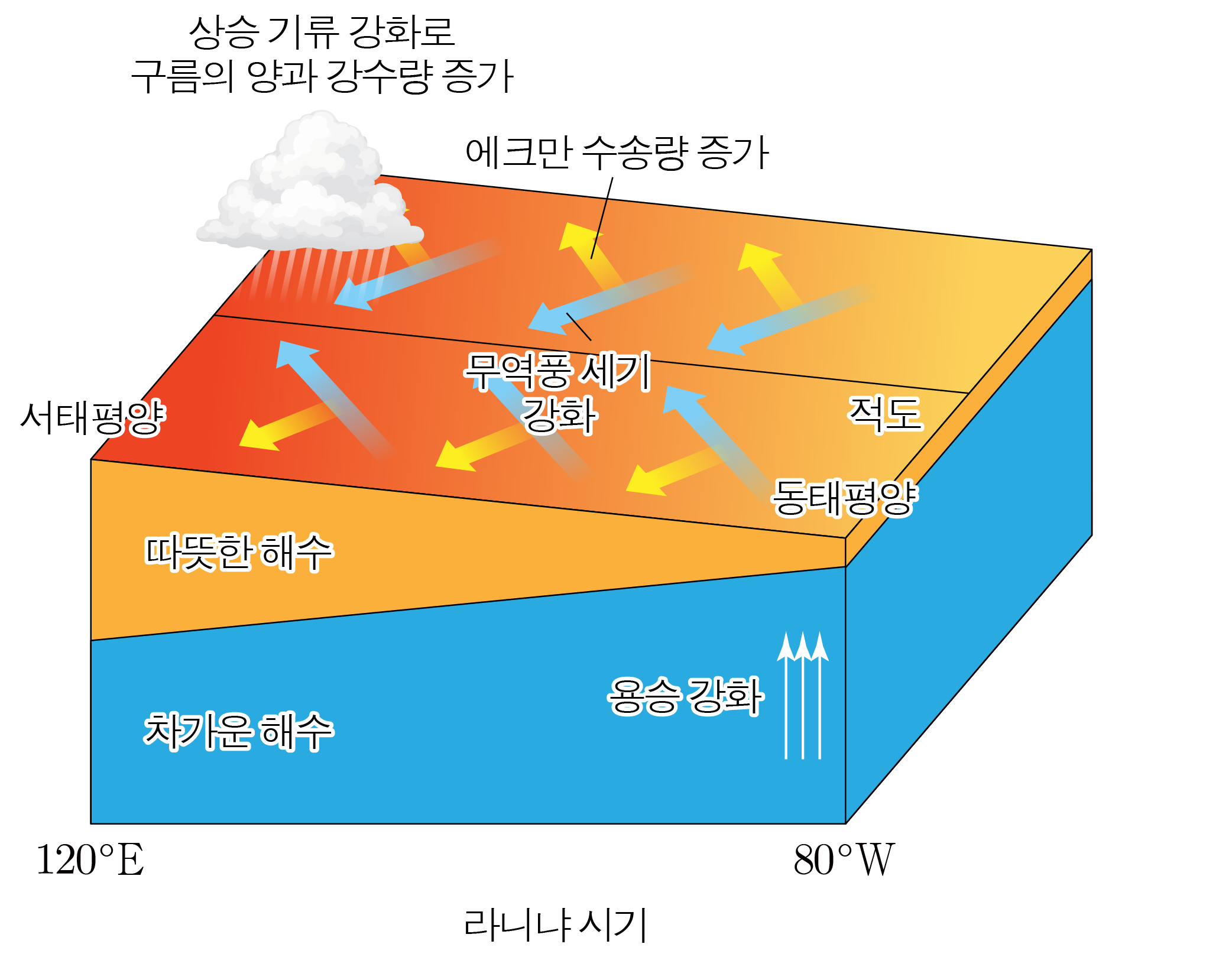 라니냐 시기의 태평양 해수 온도와 대기·해수 흐름 모식도