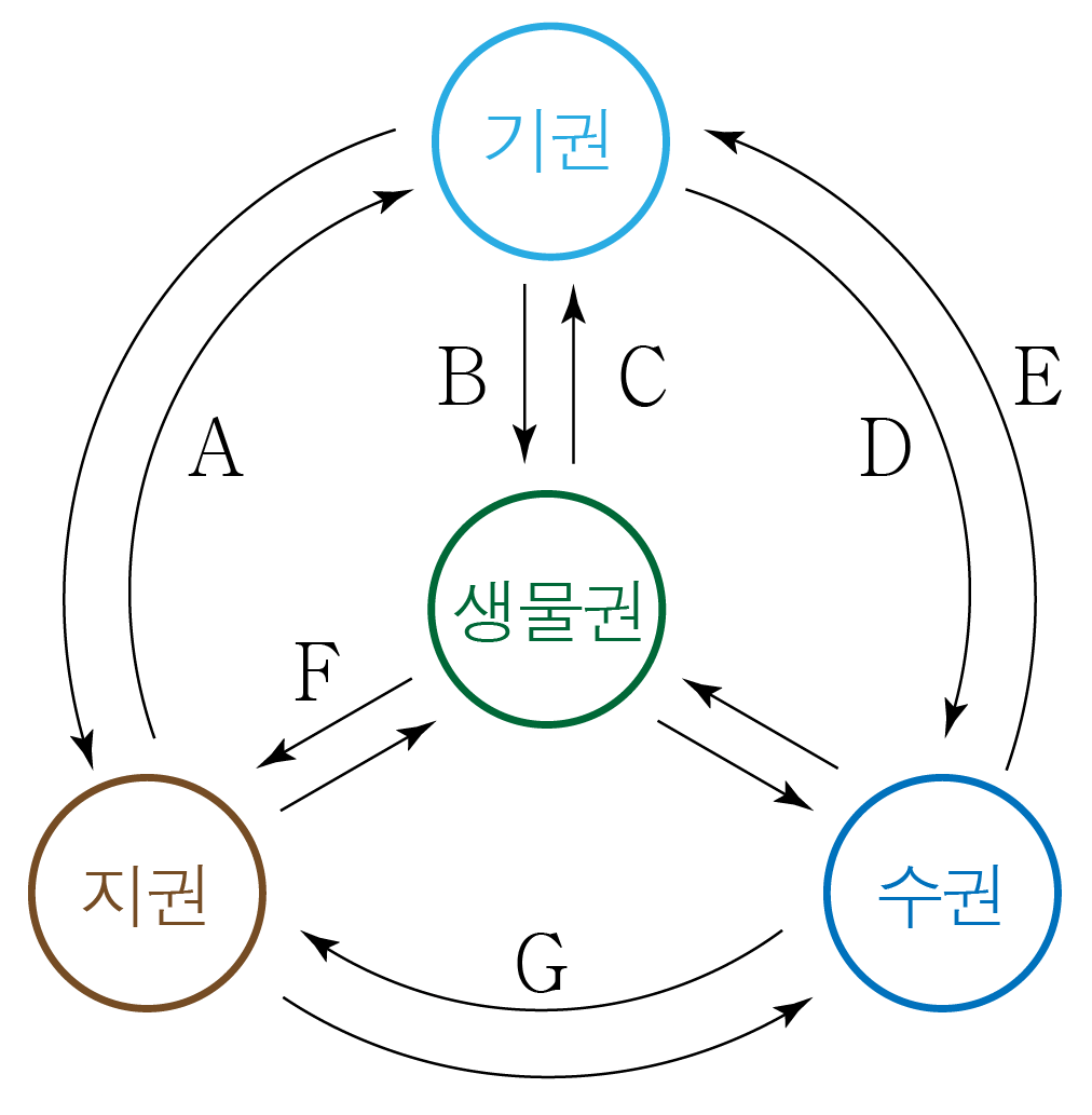 기권·생물권·지권·수권 사이 탄소 순환 경로를 나타낸 순환도