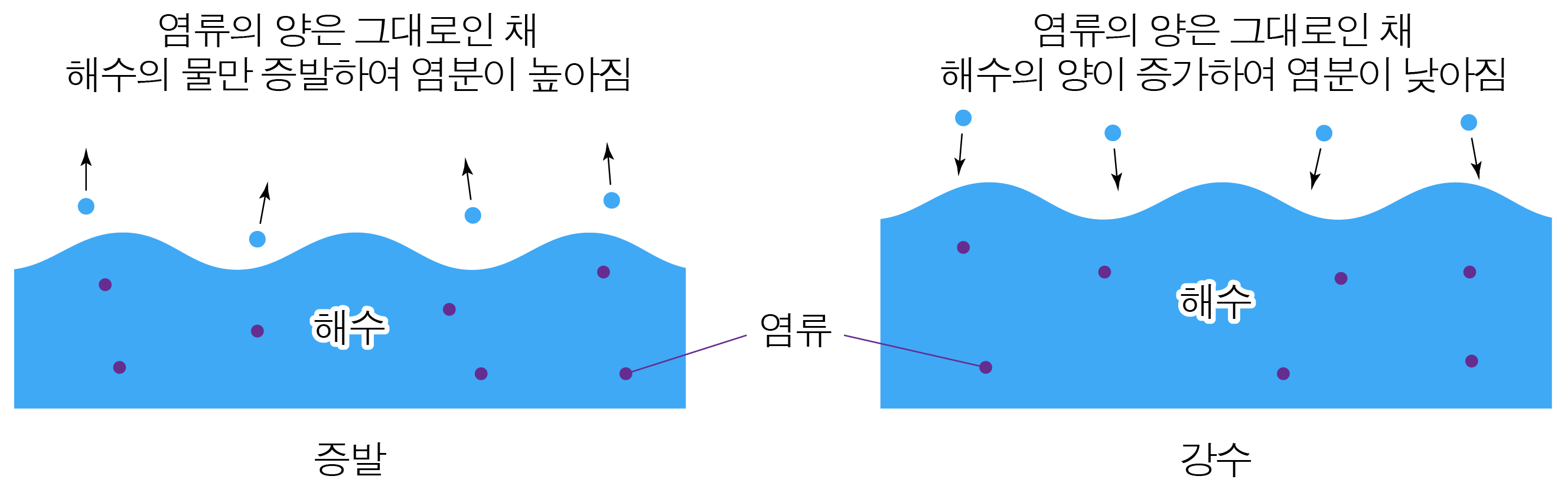 증발과 강수에 따른 해수의 양과 염류 변화 비교 그림