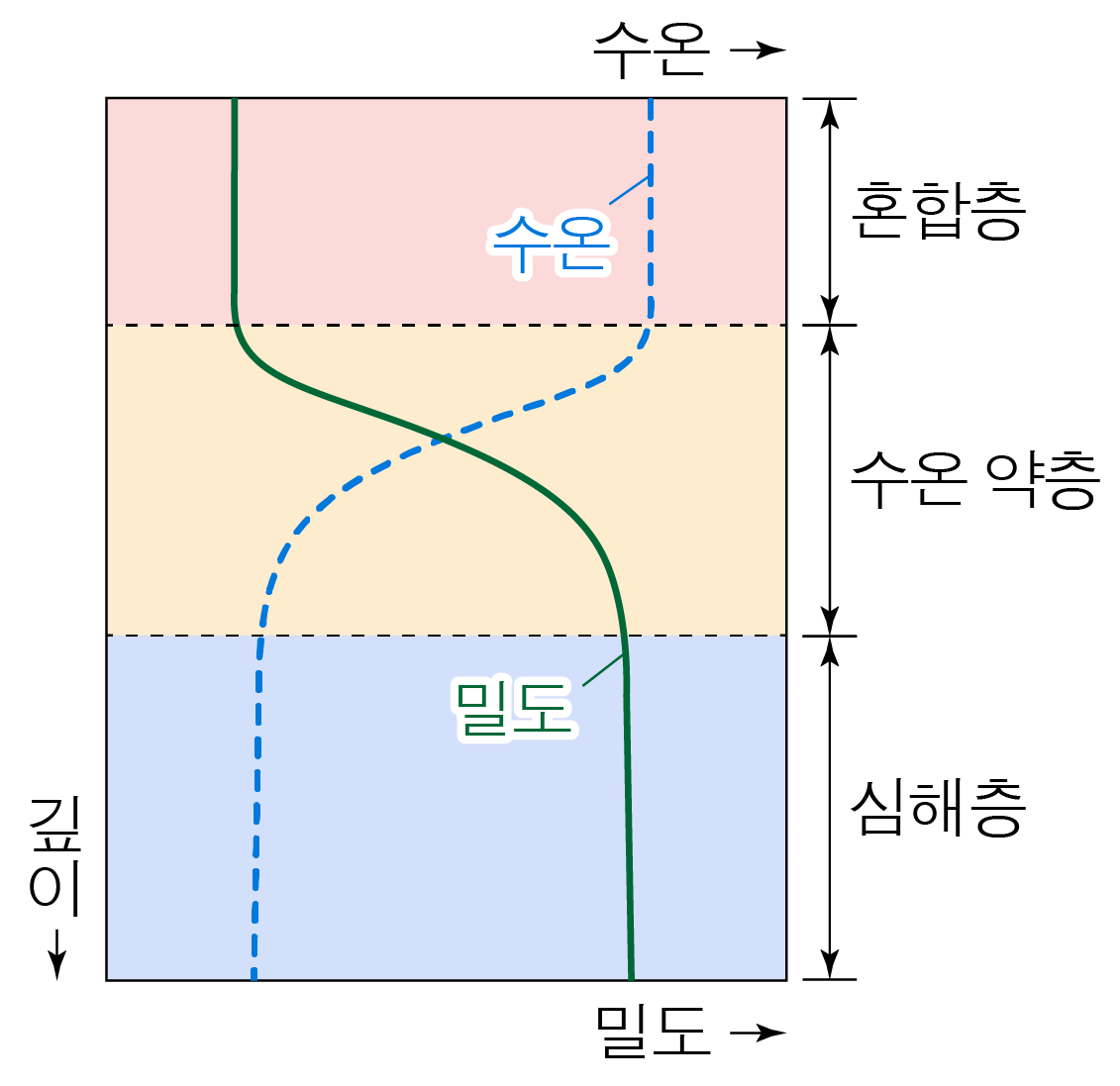 깊이에 따른 수온과 밀도 변화를 나타낸 해양 수직 구조 그래프