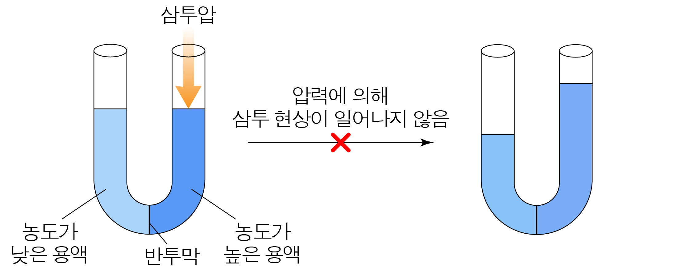 삼투압을 가해도 삼투 현상이 일어나지 않는 U자관 그림