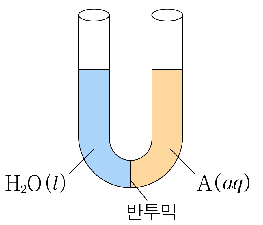 U자관에서 물과 수용액의 액면 높이를 비교한 삼투압 도식
