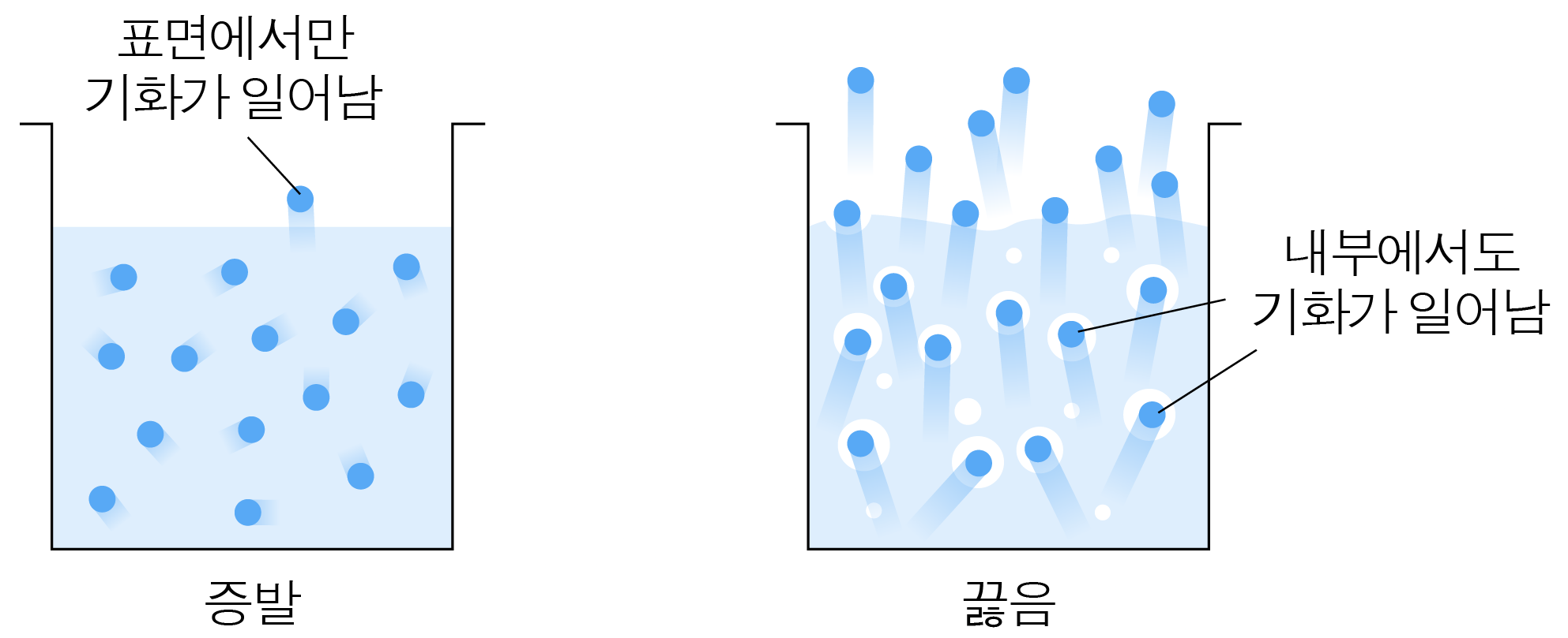 증발과 끓음에서 표면 및 내부 기화가 일어나는 모습 비교