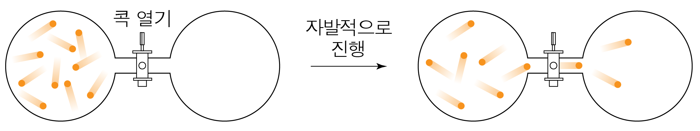 두 용기 사이의 문을 열어 입자가 자발적으로 퍼지는 모습