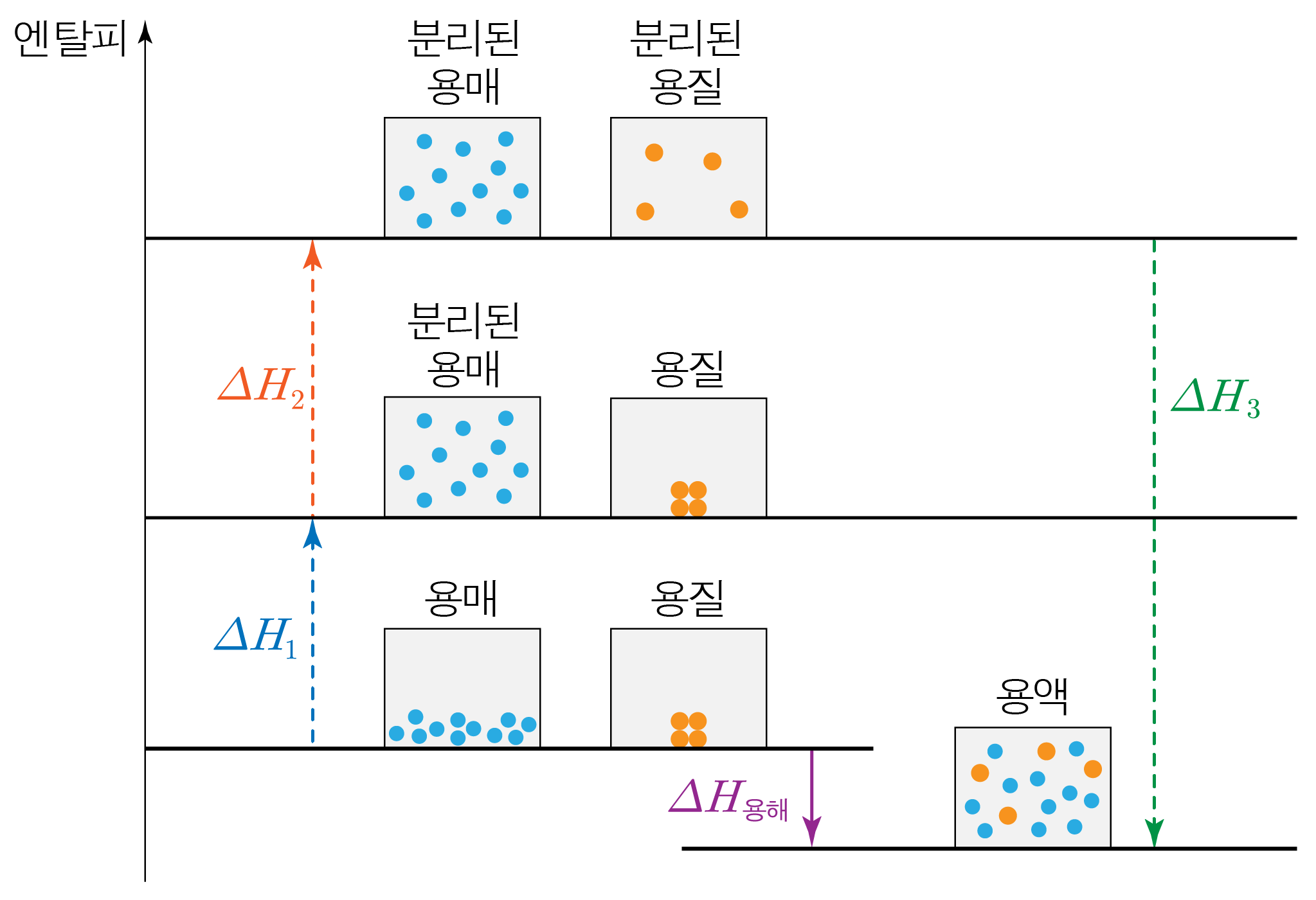 용해 과정의 엔탈피 변화와 용매·용질 입자 배열을 나타낸 에너지 단계도
