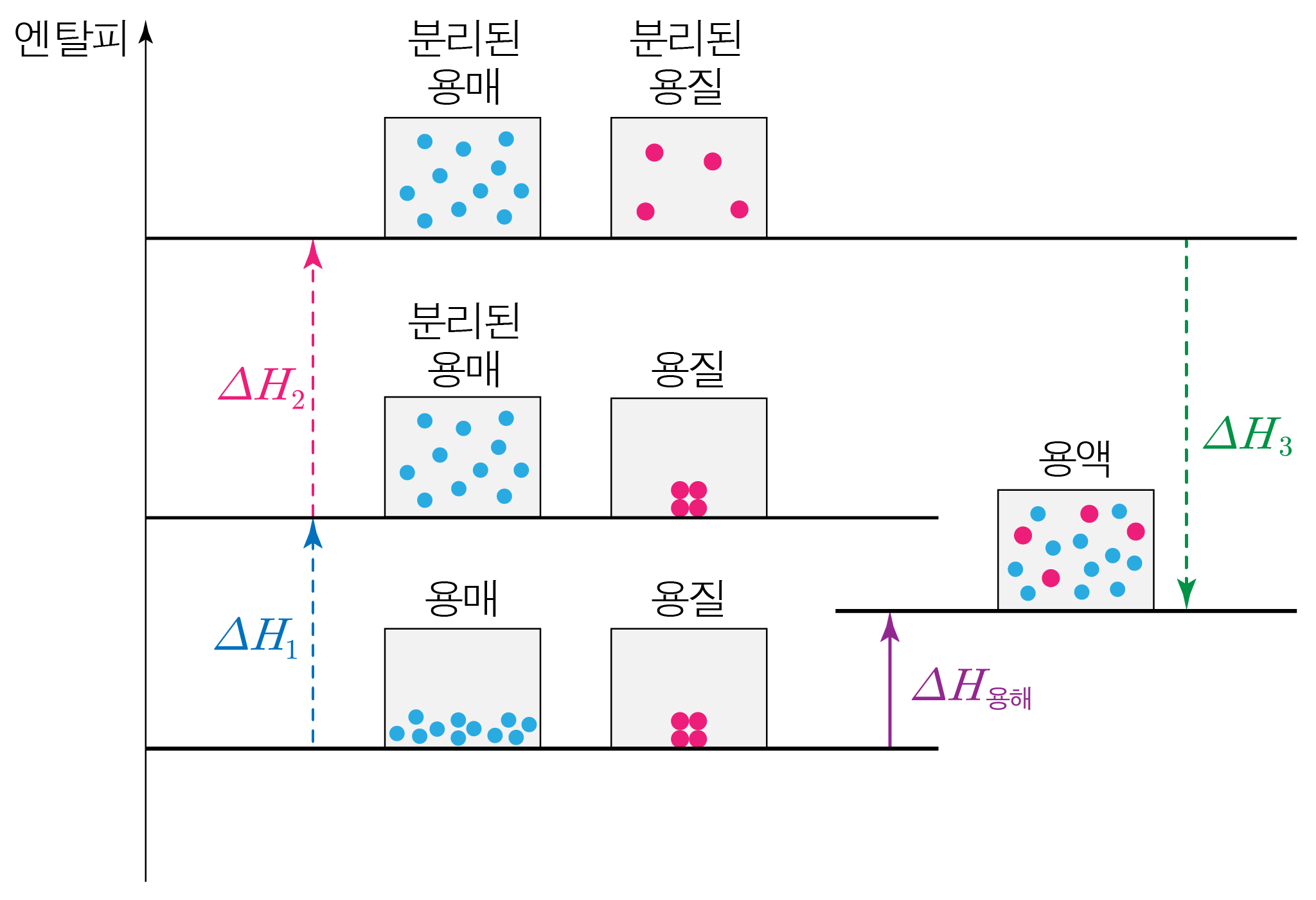용매와 용질의 분리 및 혼합에 따른 엔탈피 변화 모식도