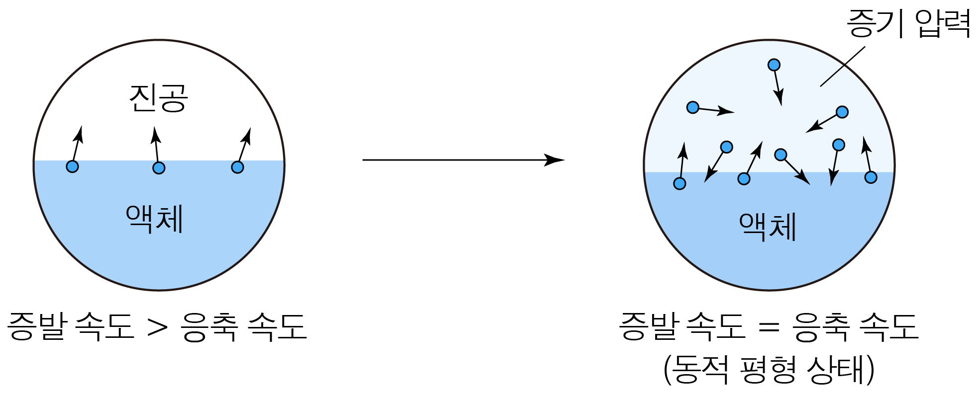 증발 속도와 응축 속도에 따른 액체와 증기 입자 상태 비교