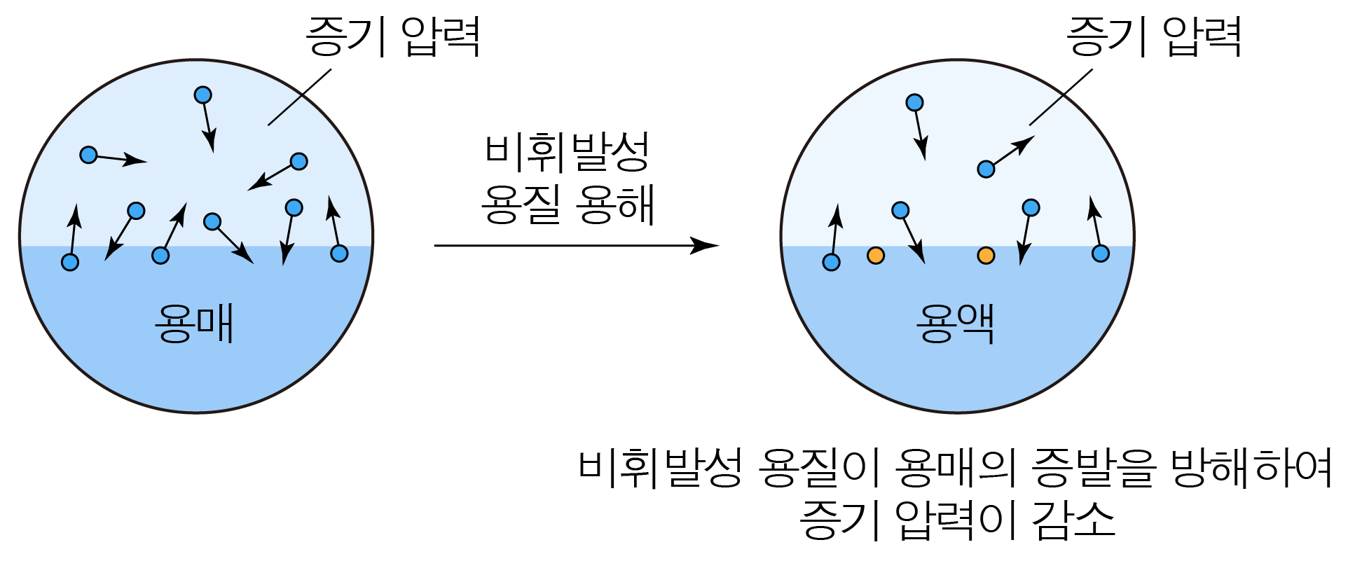 비휘발성 용질 첨가로 용액의 증기 압력이 감소하는 입자 모형