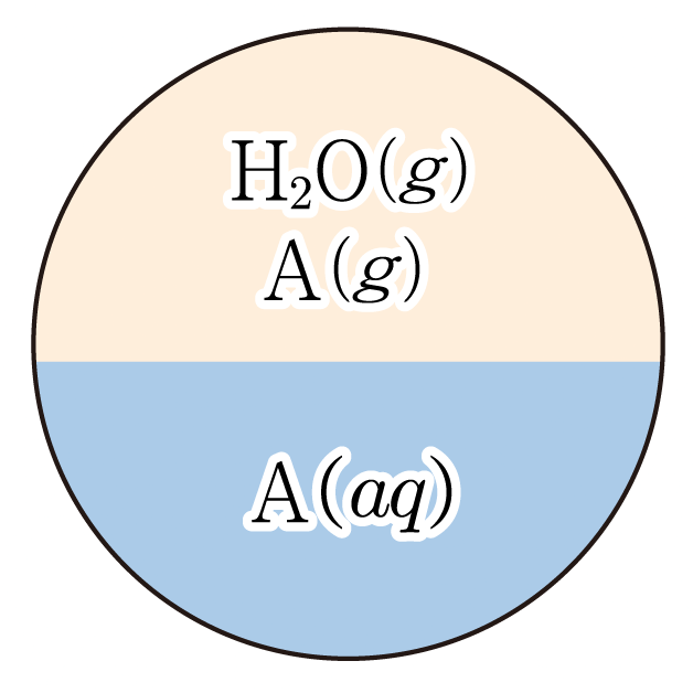 기체와 수용액이 나뉜 원형 용기 속 H₂O(g), A(g), A(aq) 표기